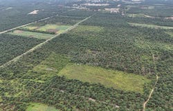 Mukim Ulu Benut, Kluang, Kluang, Johor 82200