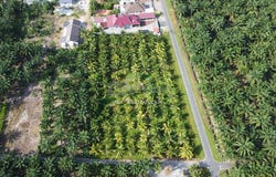 Tanjong Sepat, Selangor