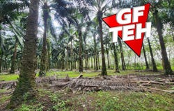 Pendang, Kedah 6720