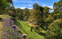 Balik Pulau, Penang 11000