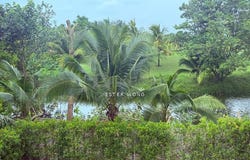 Johor Bahru, Johor 81550