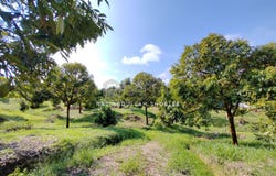 Bentong, Pahang 28700