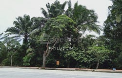 Banting, Selangor 42700
