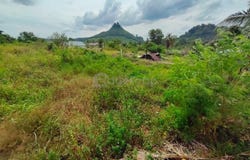 Kuala Kangsar, Perak 31100