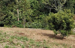 Hulu Langat, Selangor 43100