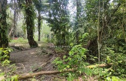 Tanjung Malim, Perak 35900