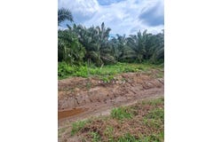 Banting, Selangor 42700