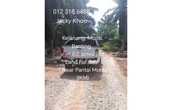 Banting, Selangor 42700