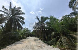 Jenjarom, Selangor 42600