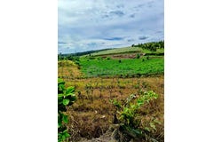 Seelong, Senai, Johor 81400