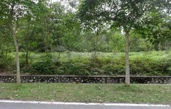 Putra Harmoni 1/1, Subang Jaya, Selangor 47100