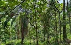 Bandar Puncak Alam, Selangor