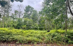 Jalan Kesuma 6/11, Semenyih, Selangor 43500