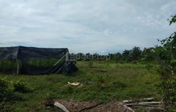 Kampung Endah, Morib, Banting, Banting, Selangor 42700