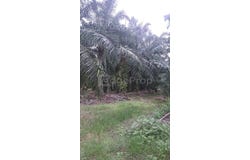 Kapar, Selangor 42200