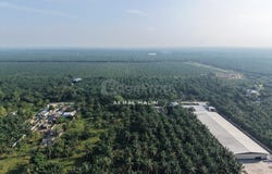 Kuala Selangor, Selangor 45800