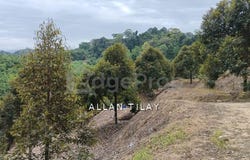 Hulu Perak, Perak