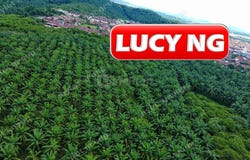 Sungai Petani, Kedah 08000