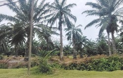 Jalan Changkat Jering, Manjung, Perak 34900