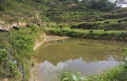 Raub District, Pahang 27600