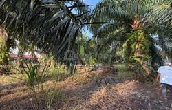 Sabak Bernam, Selangor 45300