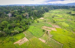 T, Jeram, Selangor 45800