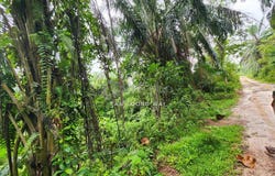 Jalan DPP, Gombak, Selangor 48100