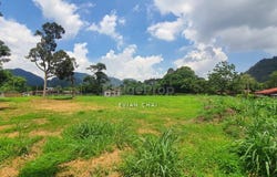 Ipoh, Perak 31400
