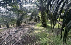 Jalan Kilang, Jeram, Selangor 45800