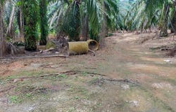 Port Dickson, Negeri Sembilan