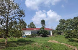 Ulu Tiram, Johor 81800
