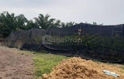 Kampung Endah, Morib, Banting, Banting, Selangor 42700