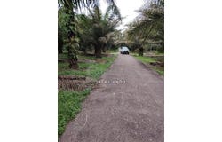 jalan pasar, Jenjarom, Selangor 42600