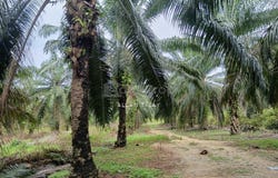 Bandar Seri Jempol, Negeri Sembilan 72120