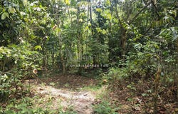 Tanjung Malim, Perak 35900