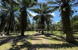 Kluang, Johor 86200