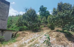 Bentong, Pahang 28700