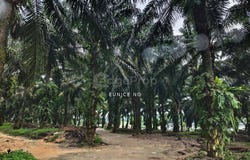 Ulu Tiram, Johor 81800