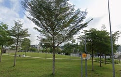 Jalan Sentral, Iskandar Puteri, Johor 79100
