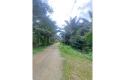 Jenjarom, Selangor 42600
