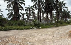 Kuala Selangor, Selangor 45600