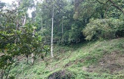 B, Hulu Langat, Selangor 43100