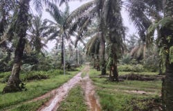 Kluang, Johor 86200