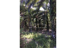 Kuala Kangsar, Perak 31100