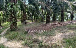 Karak, Pahang 28600
