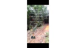 Telok Panglima Garang, Selangor 42500