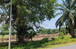 Off Jalan Keretapi lama, Kuala Selangor, Selangor 45800