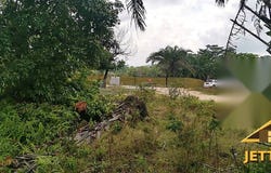 Kuala Selangor, Selangor