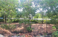 Bangi, Selangor 43000