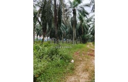 Kuala Selangor, Selangor 45800